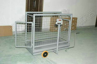 高原放養(yǎng)牦牛可移動牲畜秤 精準稱重助力畜牧業(yè)發(fā)展